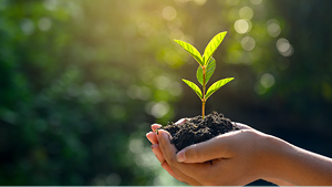 sustainability