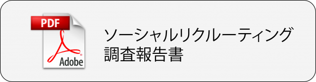 報告書PDF2