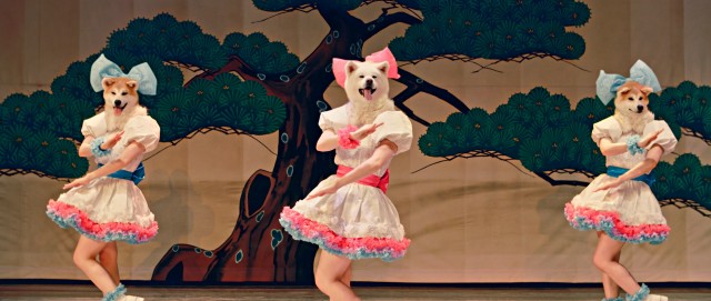 Mofu Mofu Dogs, idol unit