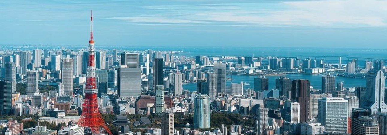 Domestic media