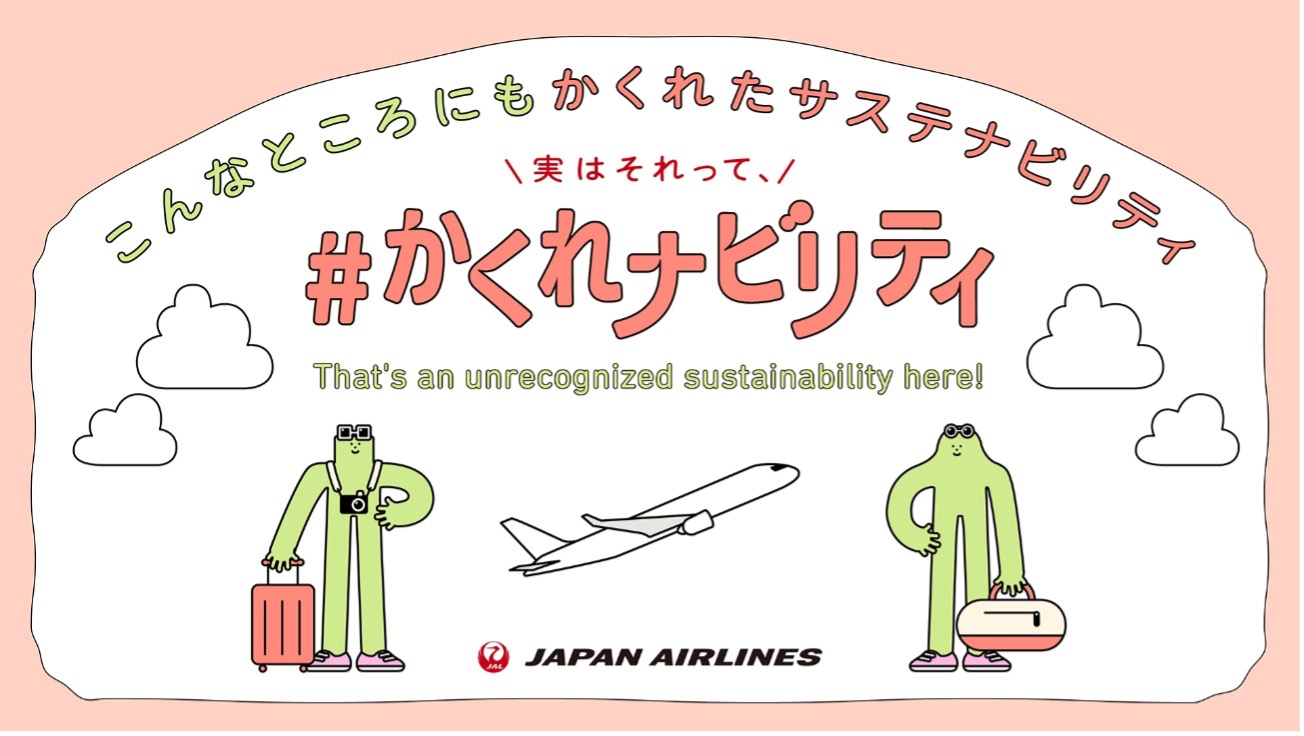 Hidden Sustainability in Air Travel