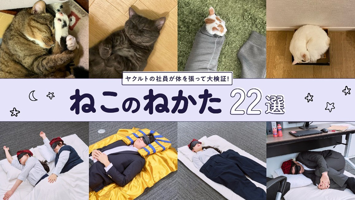 ねこのねかた22選